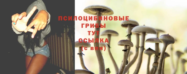 COCAINE Магас